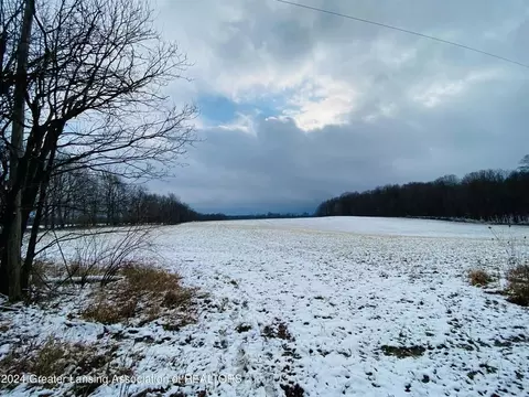 V/l Cedar, Handy, MI 48836