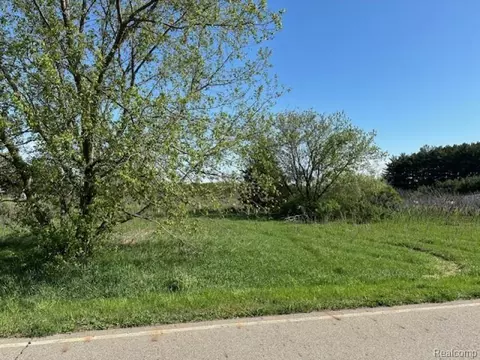 0 Parcel A Ambrose Rd, Fremont, MI 48744