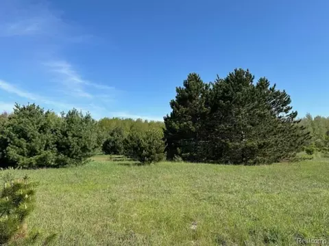 0 Parcel B Ambrose Rd, Fremont, MI 48744