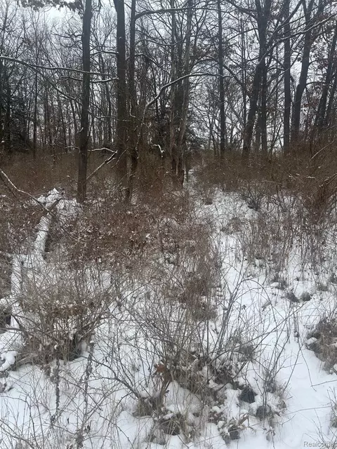 12840 Larkins Rd, Brighton, MI 48114