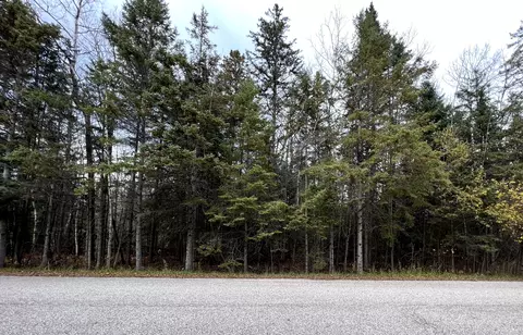 1342 Coulson Dr, Beaugrand, MI 49721