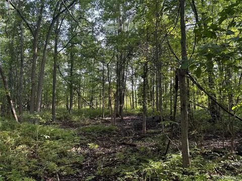 V/l Lakewood Ln, Attica, MI 48412