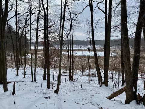 0 Lasher Dr, Dryden, MI 48428