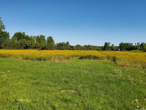 V/l Murphy Lake Rd, Millington, MI 48746