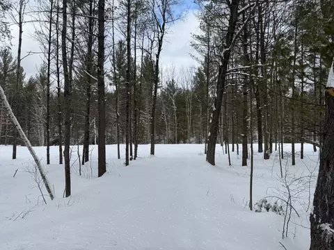 385 E Greenwood Rd, Mills, MI 48610