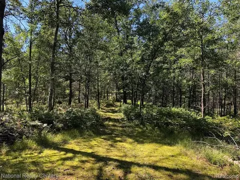 3141 Pipeman Rd, Redding, MI 48625