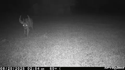 V/l Blake Rd, Blackman, MI 49201