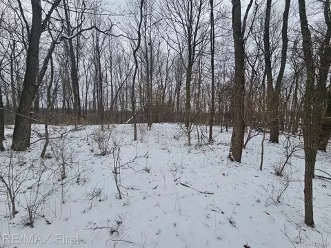 0 Dean Rd, Deerfield, MI 48430