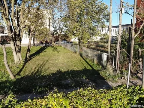 2939 Park Ave, Detroit, MI 48201