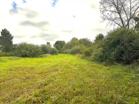 10 Siegel, Emmett, MI 48022