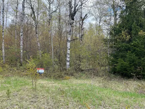 000 Pineview Dr, Star, MI 49730