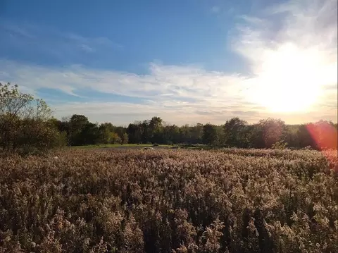 lot7 Abby Crt Ct, Dryden, MI 48428