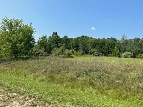 14449 Centennial, Forest, MI 48746