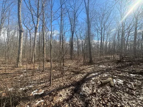 V/l Hartland Road, Tyrone, MI 48430