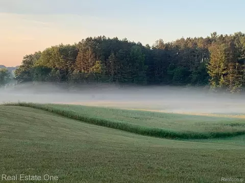Other - Undisclosed, Oceola, MI 48855 photo 3 of 21