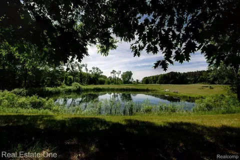 View/Area - Undisclosed, Oceola, MI 48855 photo 2 of 2