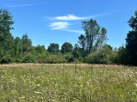 00 Wiggins Rd, Deerfield, MI 48855