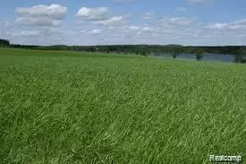 0000 Conrad Dr, Clyde, MI 48049