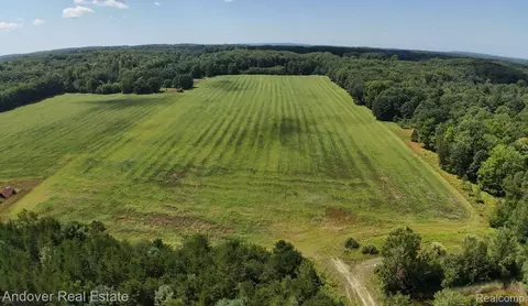 Leckrone Rd Parcel B, Brown, MI 49619