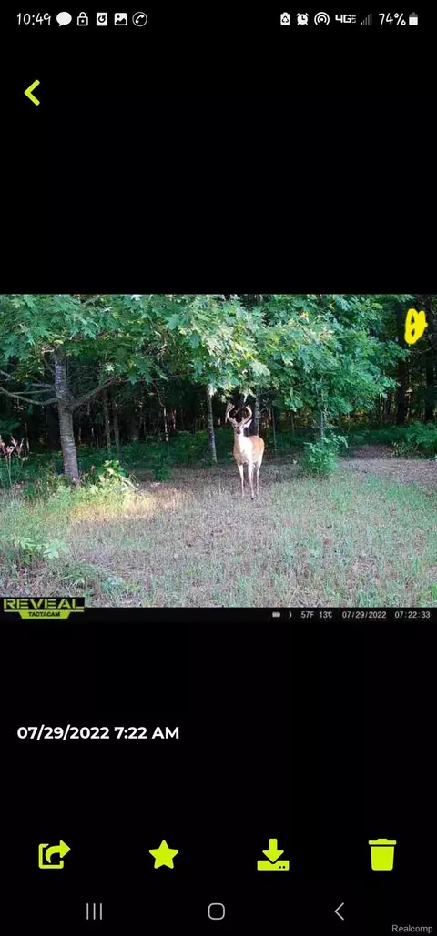 00 Squaw Creek Rd, Rich, MI 48435