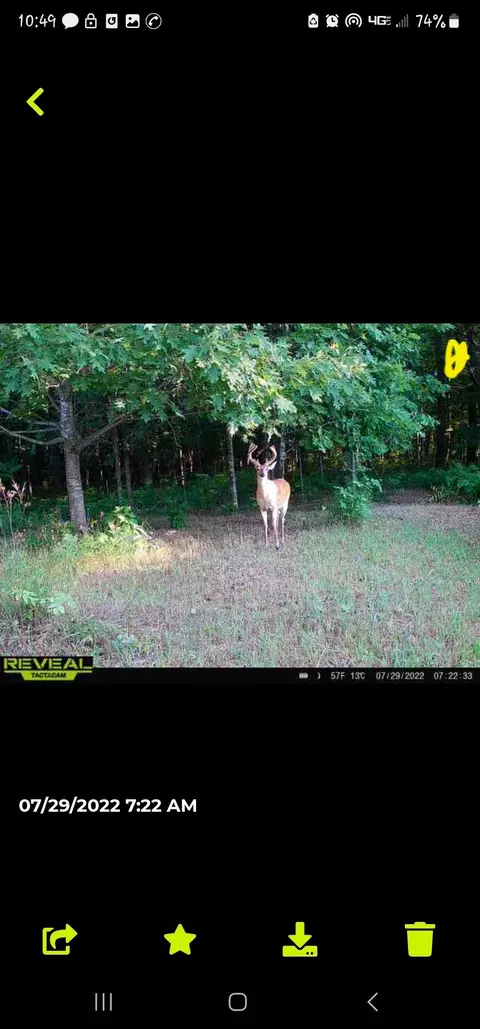 00 Squaw Creek Rd, Rich, MI 48435