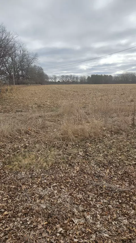 Parcel F Parshallville, Hartland, MI 48430