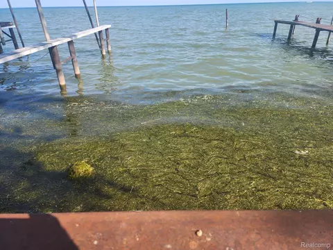 000 Jefferson Ave, Saint Clair Shores, MI 48081