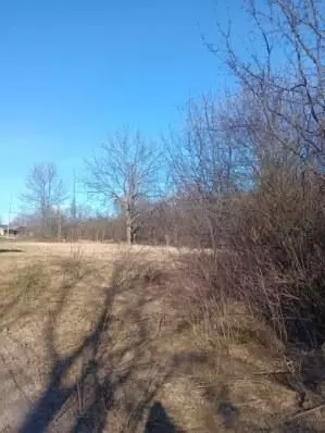 1491 Louis Ave, Mount Morris, MI 48505