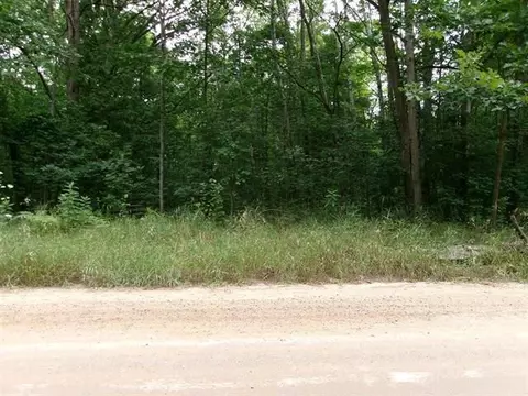 0 Browns Rd, Lincoln, MI 48632