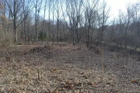 1590 E Rattalee Lake Rd, Rose, MI 48442