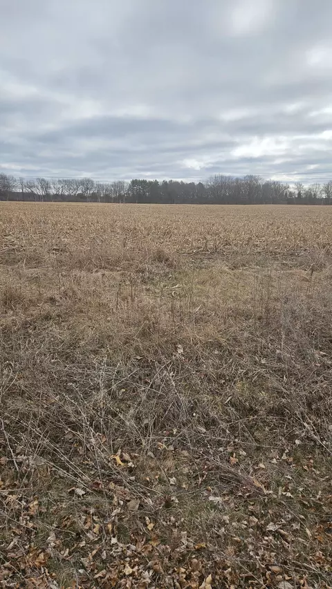 Parcel E Parshallville, Hartland, MI 48430