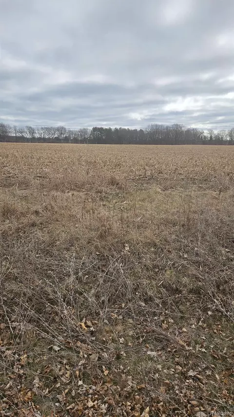 Parcel E Parshallville, Hartland, MI 48430