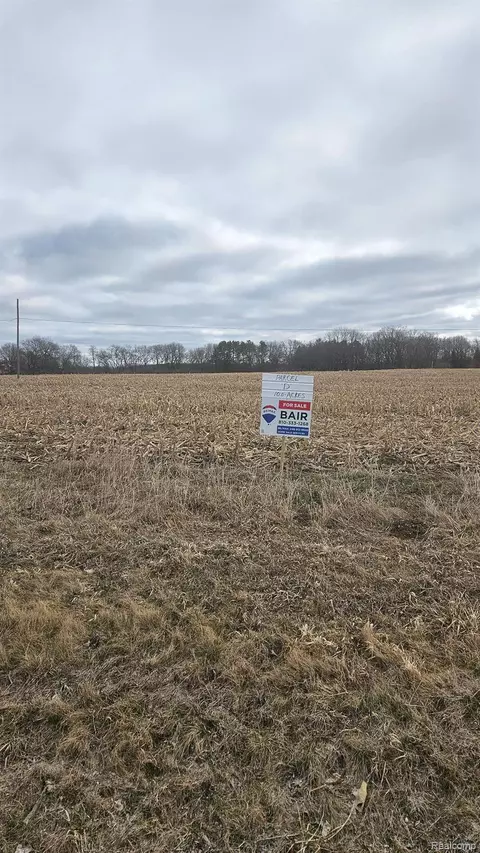 Parcel D Parshallville Rd, Hartland, MI 48430