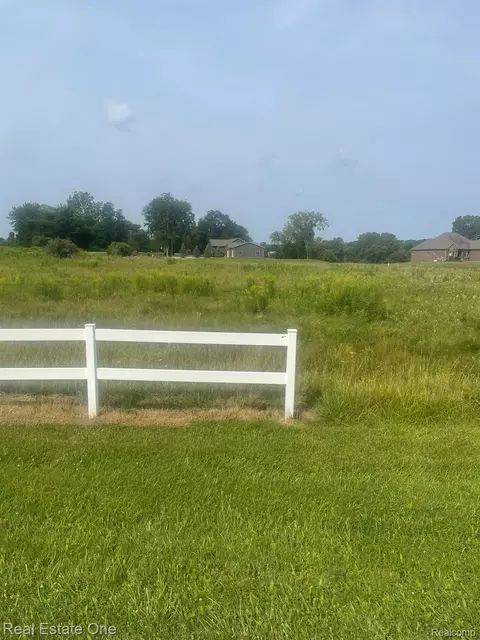 Parcel 2 Deerfield Meadows, Almont, MI 48003