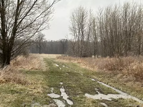 0 W Burnside Rd, Deerfield, MI 48435