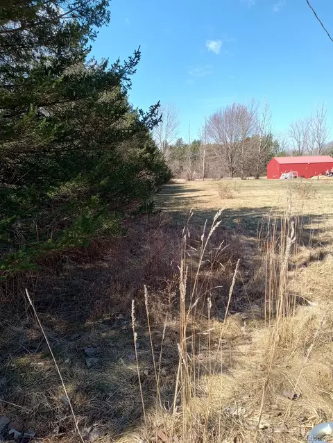 2011 W Blackmore Rd, Fremont, MI 48744