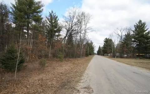V/l S Brodie Rd, Curtis, MI 48761
