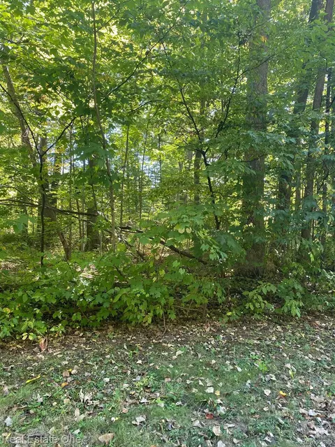 619 S Morrish Rd, Genesee, MI 48433 photo 1