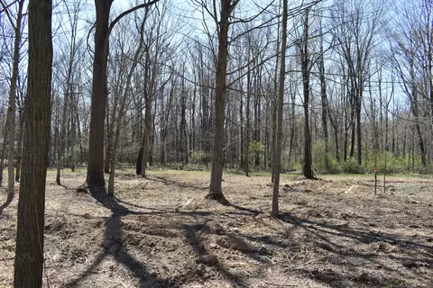 P-8 W Allen Rd, Conway, MI 48836