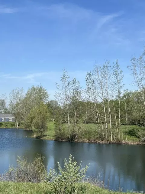 Vl Turtle Lake Rd, North Branch, MI 48461