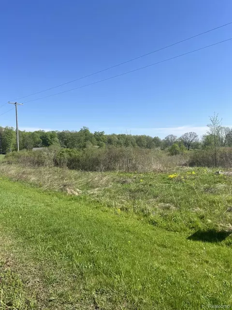 Vl Turtle Lake Rd, Rich, MI 48461