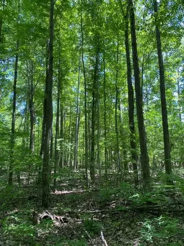 V/l Underwood Rd, Wells, MI 48723