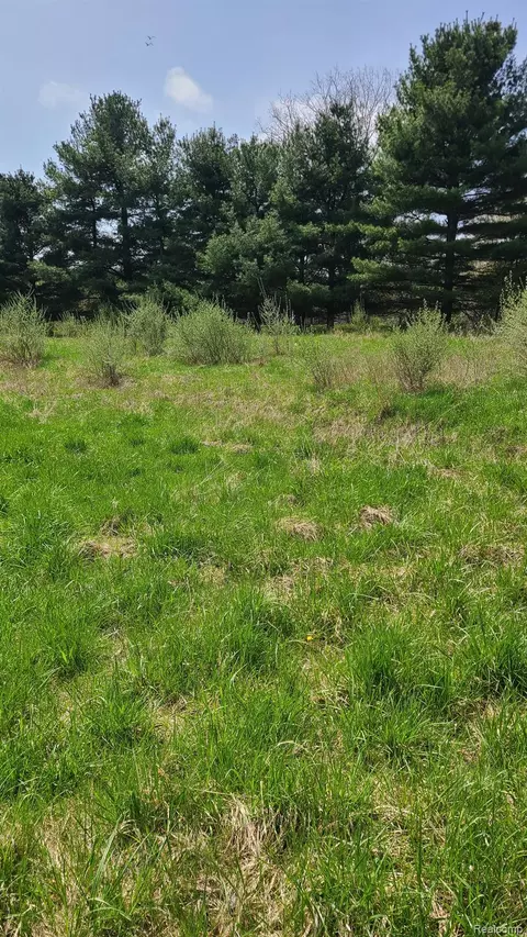 000 Pheasant Run, Marion, MI 48843