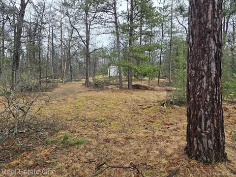 3774 S Stephan Bridge Rd, Grayling, MI 49738