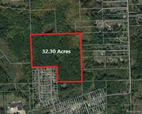 0 Michael St, Brandon, MI 48462 photo 2