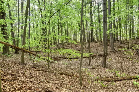 0 Michael St, Brandon, MI 48462 photo 35
