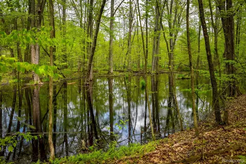 0 Michael St, Brandon, MI 48462 photo 32