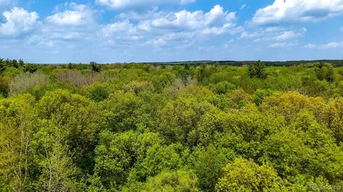 0 Michael St, Brandon, MI 48462