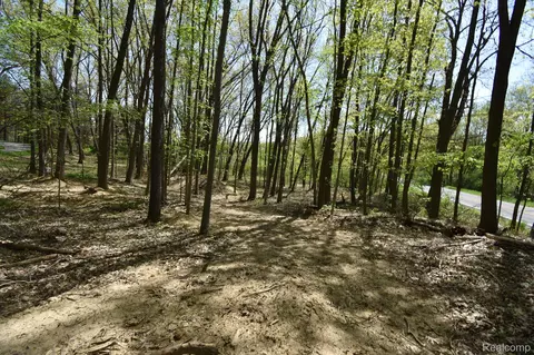 10146 Island Lake Rd, Dexter, MI 48130