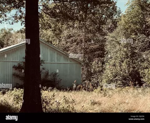 Vl E Vienna Rd NE, Forest, MI 48463
